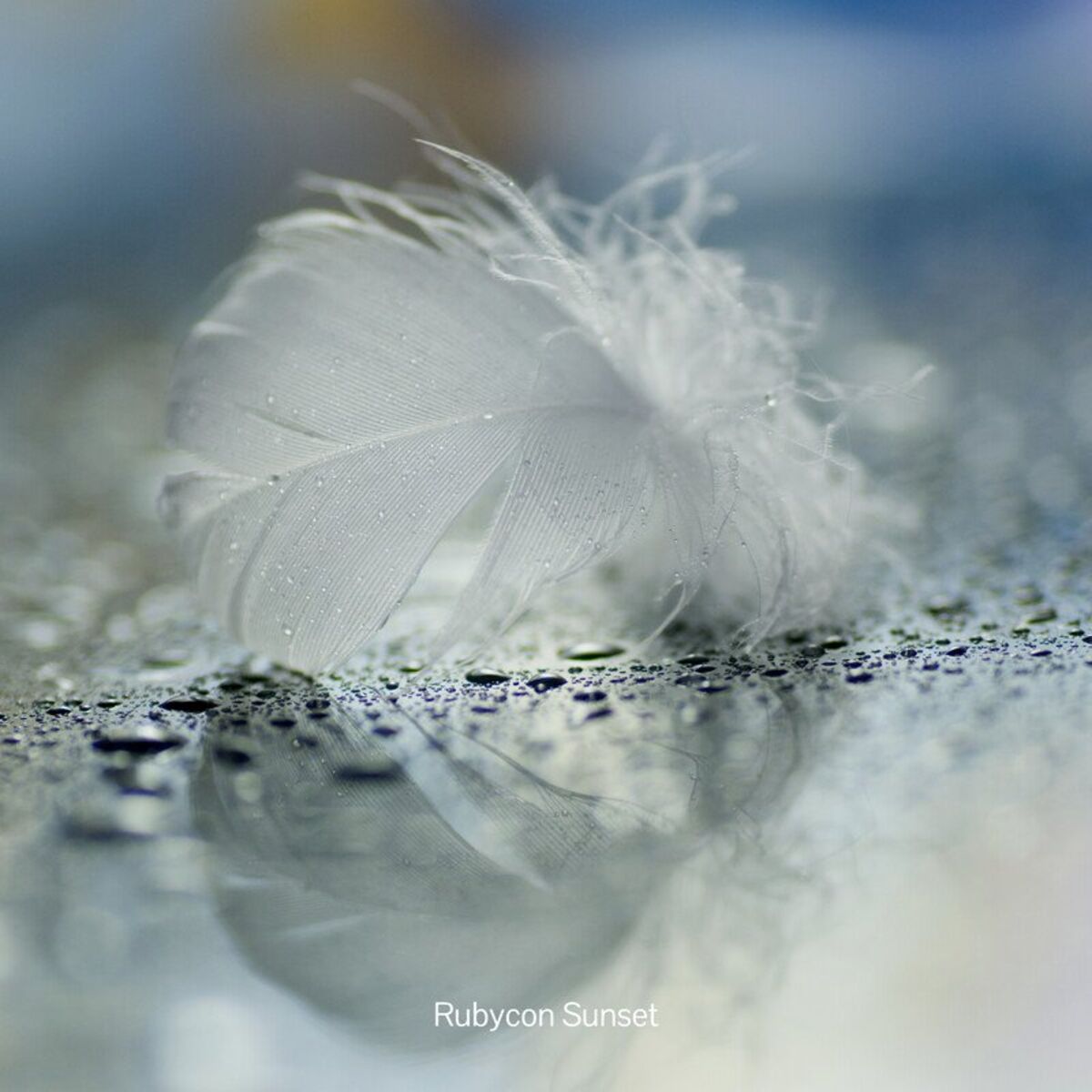 Album cover of Between Waking and Sleeping
