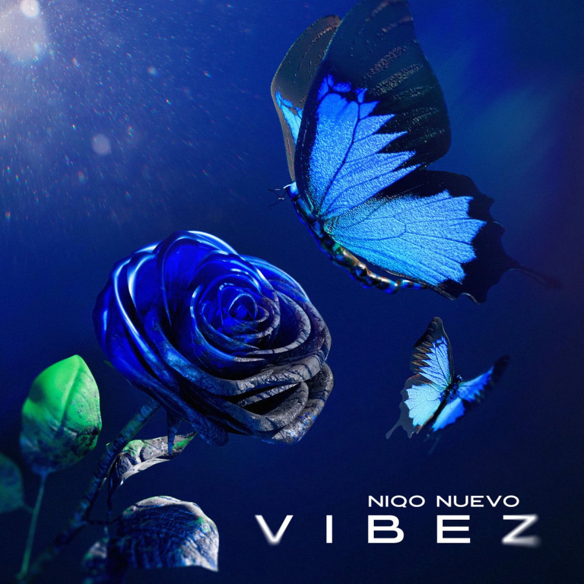 Album cover of Vibez
