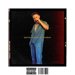 Cover of guitar plucks & bourbon