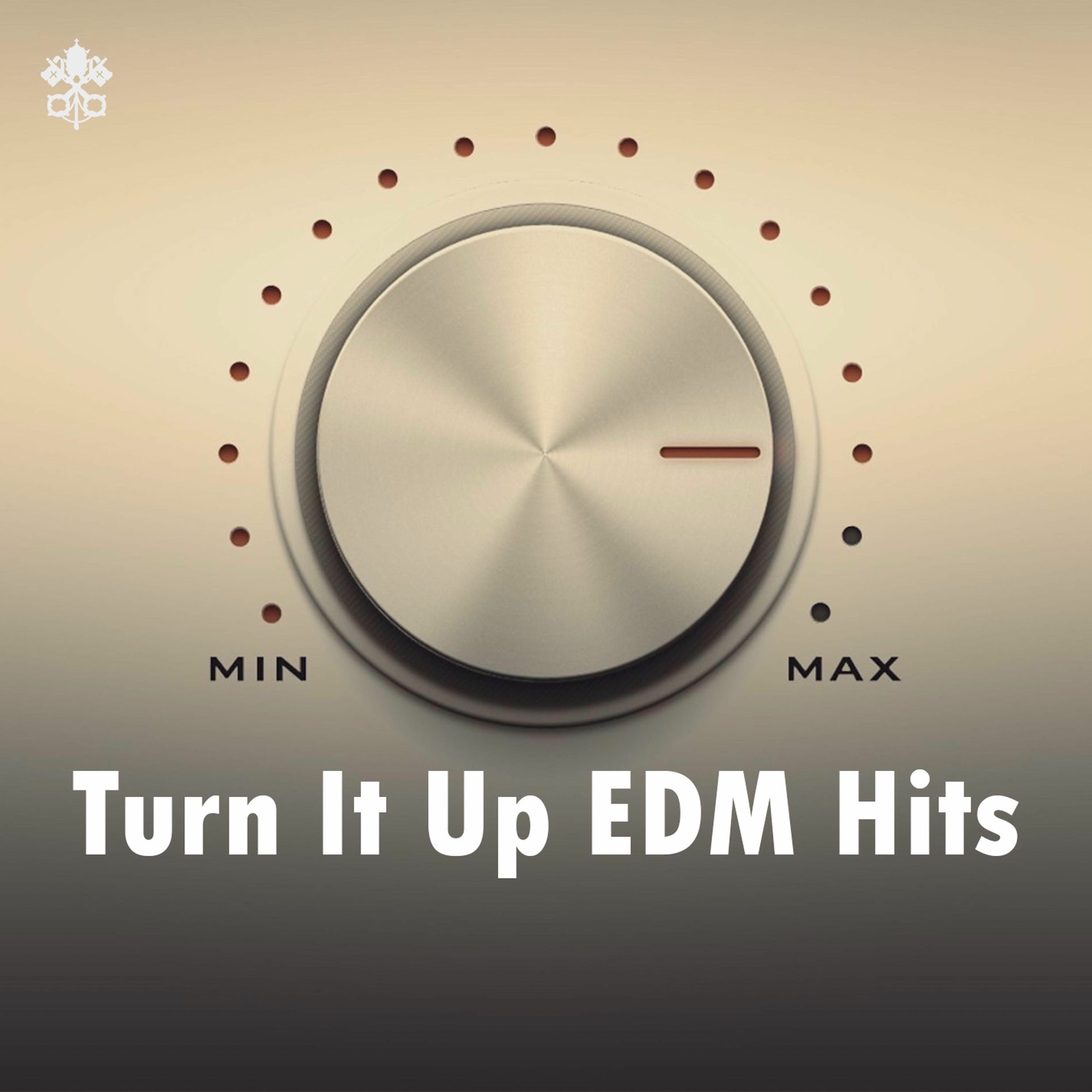 Album cover of Turn it Up EDM Hits
