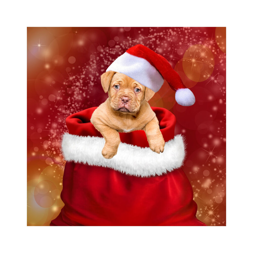 Picture of #20 Santa's Favorite Workshop Hits 2018