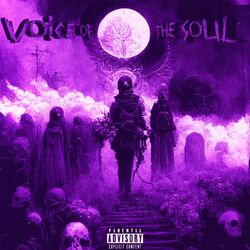 Cover of VOICE OF THE SOUL