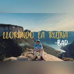 Cover of LLORANDO LA RUINA