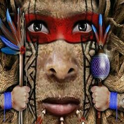 Cover of Guerreiro Ancestral