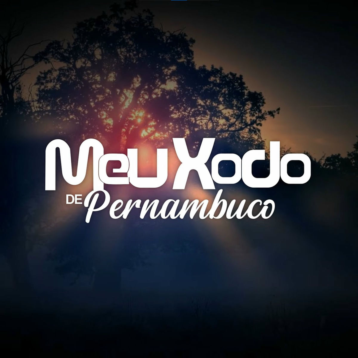 Album cover of O Sol e a Madrugada