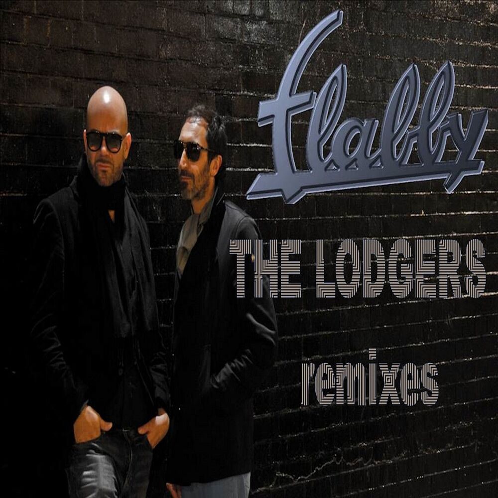 Picture of The Lodgers (Remixes)