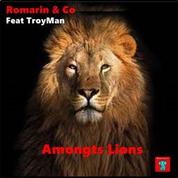 Cover of Amongts Lions