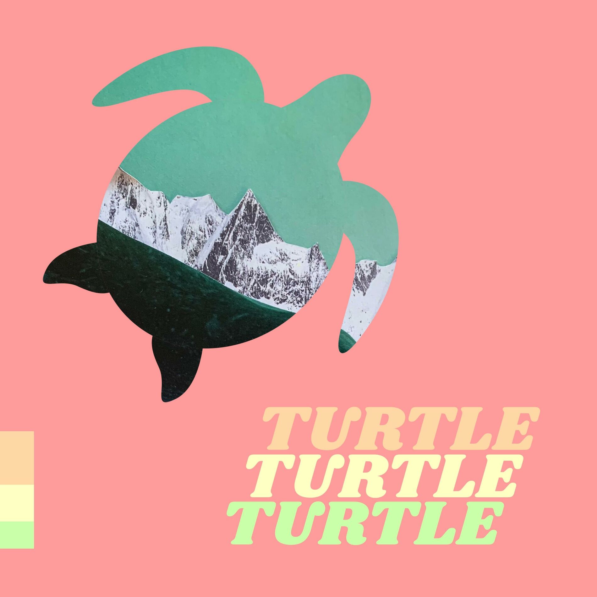 Album cover of Turtle