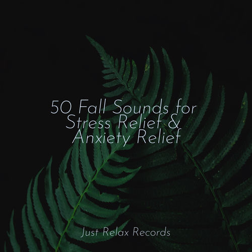 50 Fall Sounds for Stress Relief & Anxiety Relief