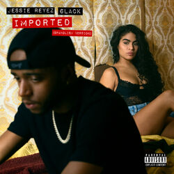 Cover of Imported (Spanglish Version)