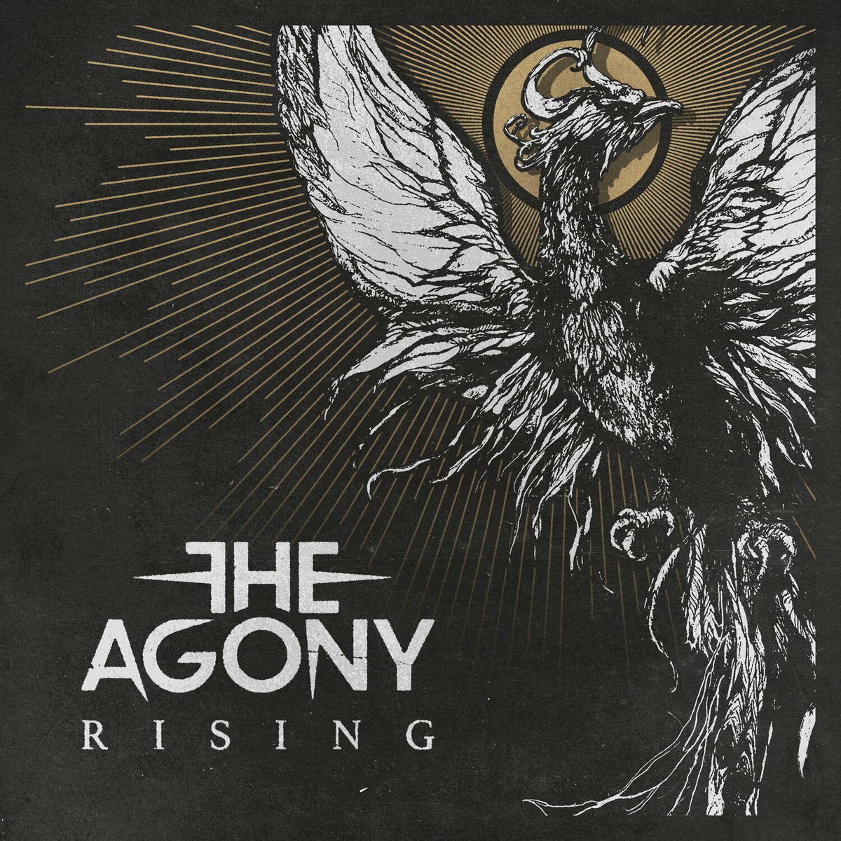Album cover of Rising