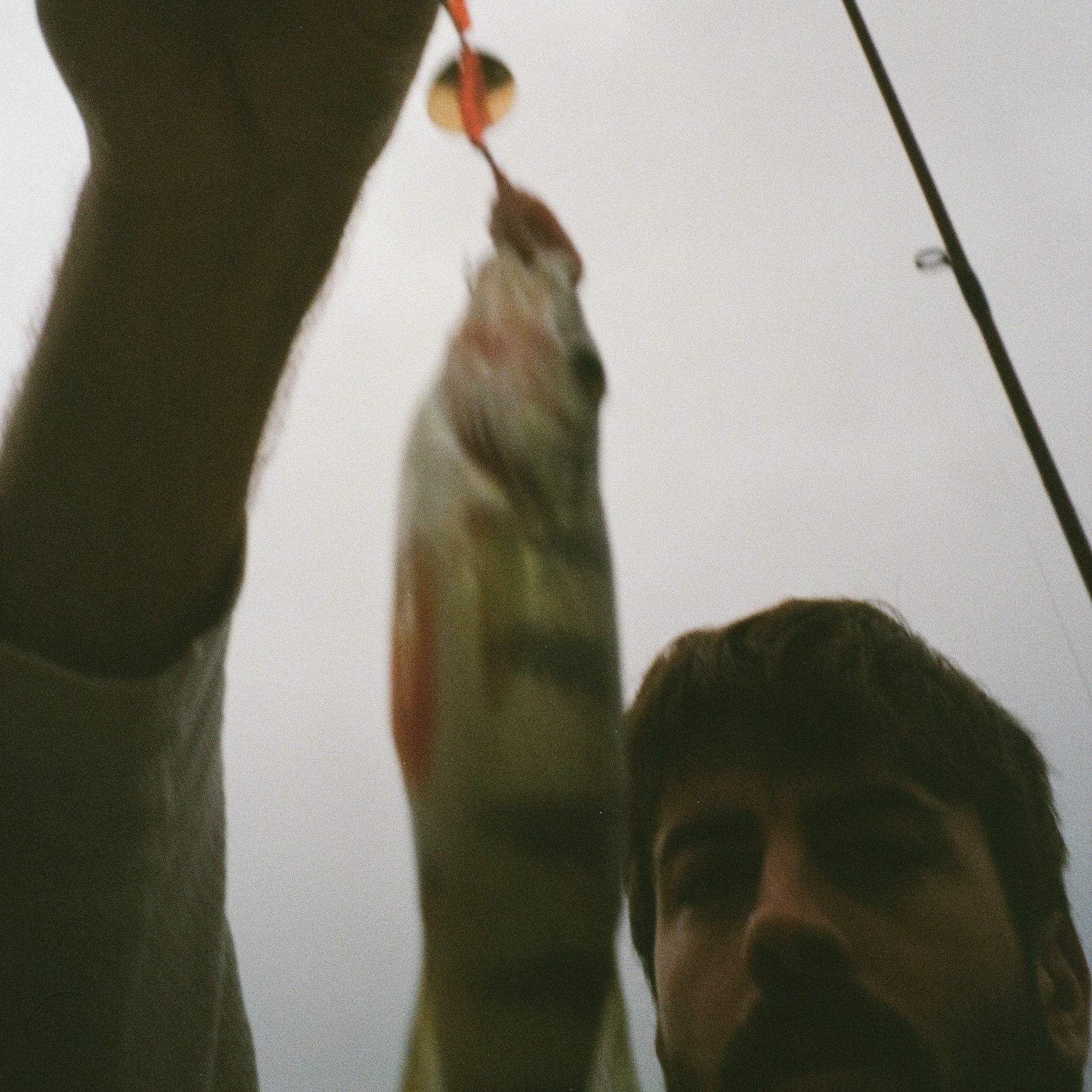 Album cover of Black Water