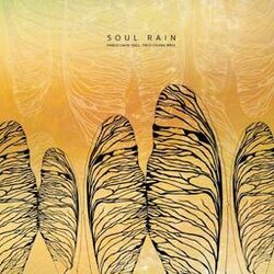 Cover of Soul Rain