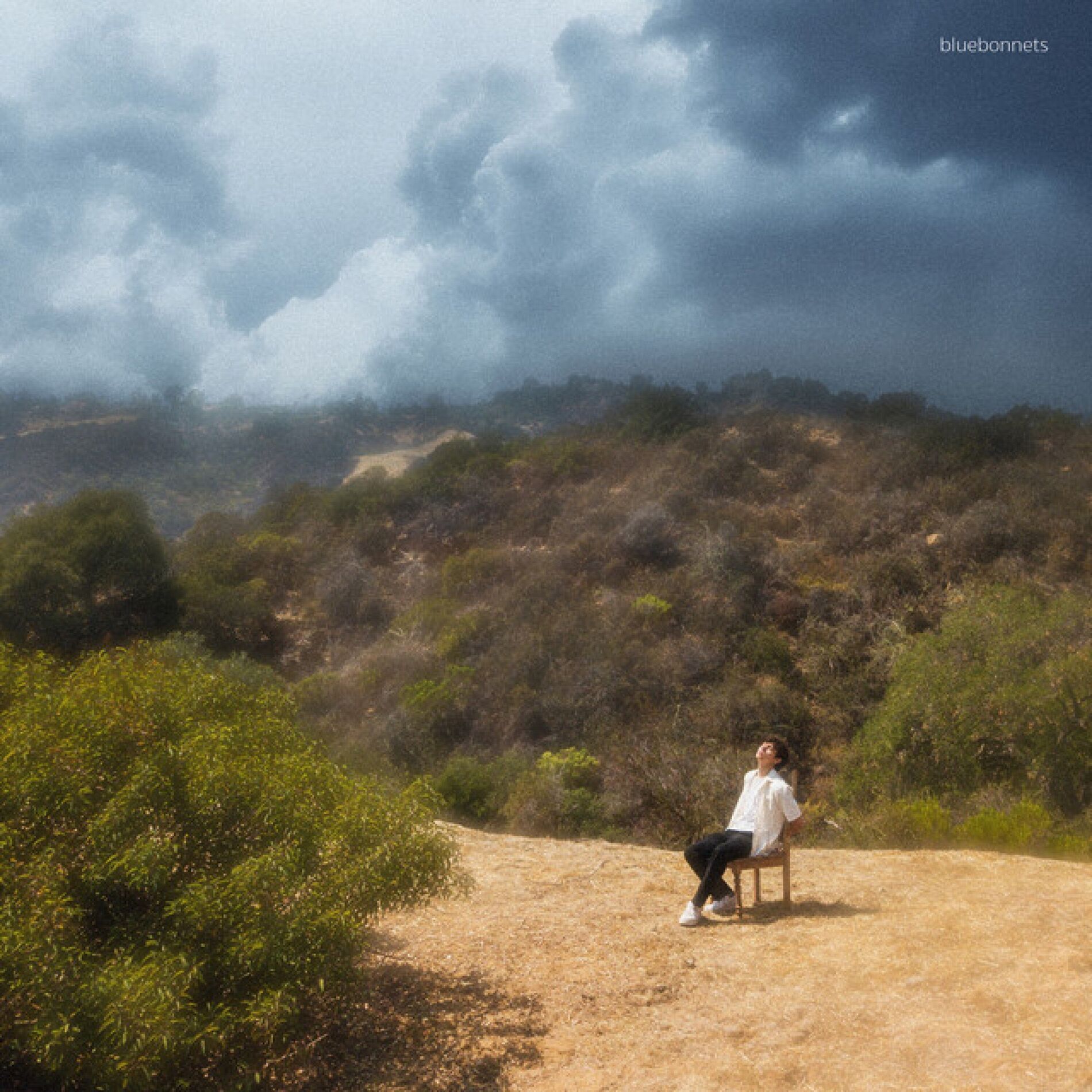 Album cover of bluebonnets