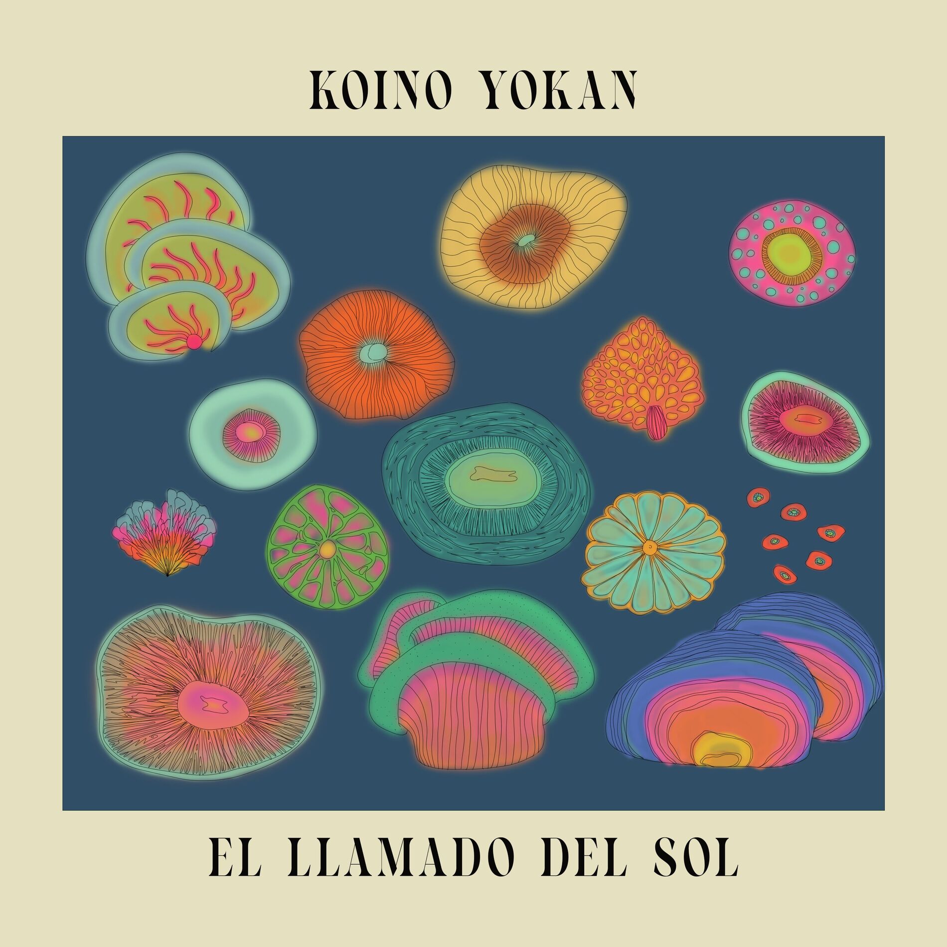 Album cover of La Coincidencia