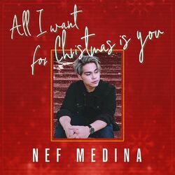 Cover of All I Want For Christmas is You