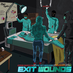 Cover of Exit Wounds