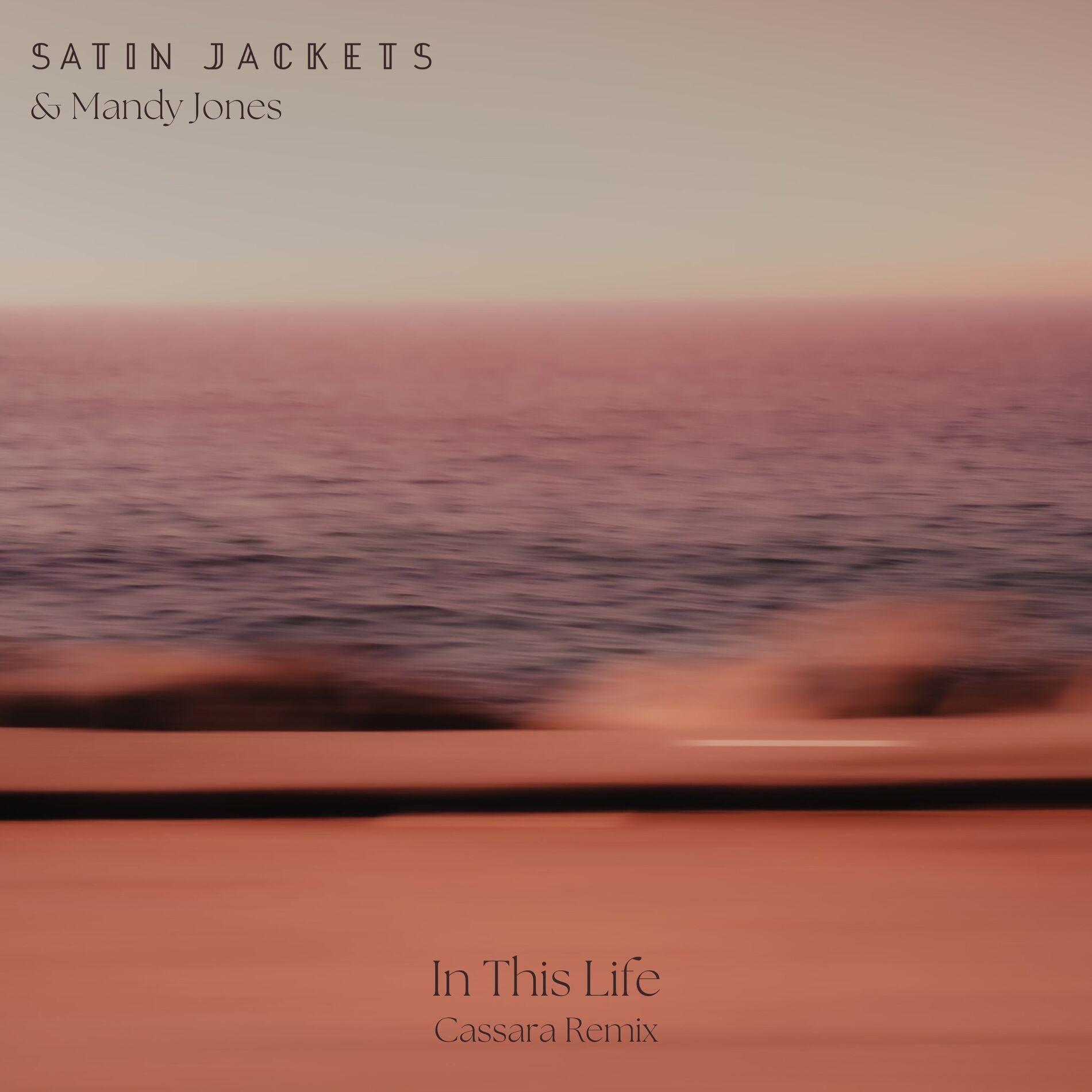 Album cover of In This Life