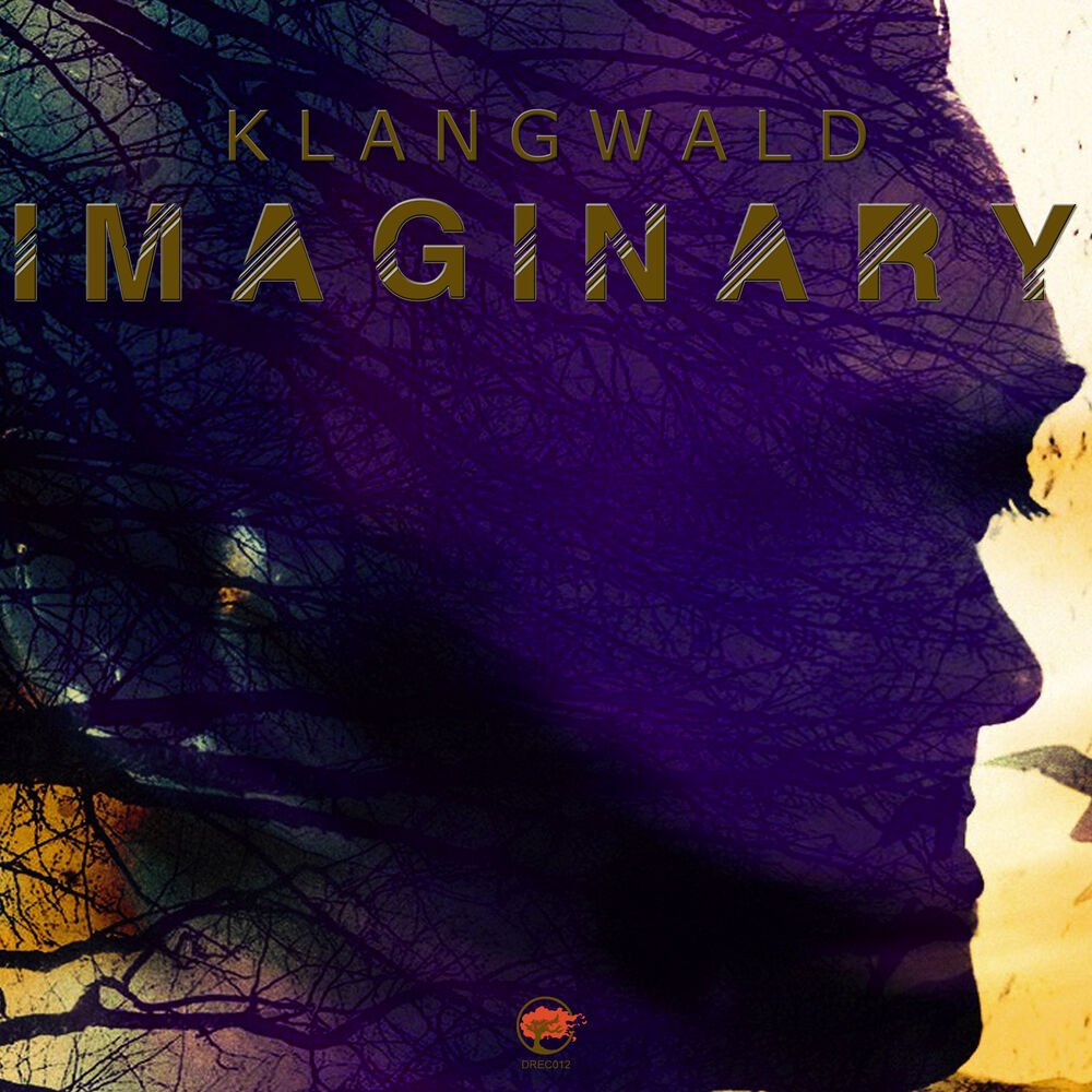 Picture of Imaginary