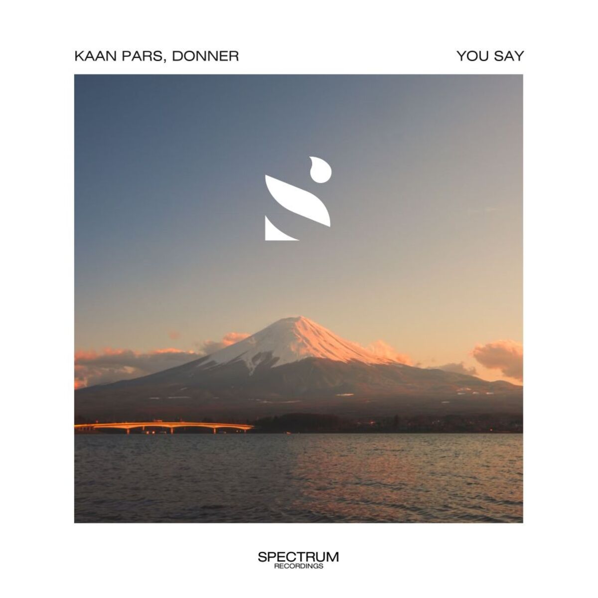 Album cover of You Say