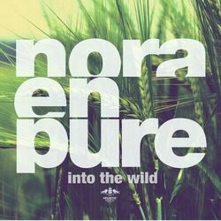 Cover of Into the Wild