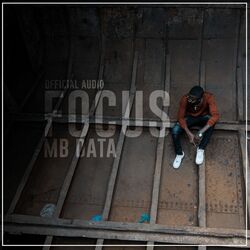 Cover of Focus