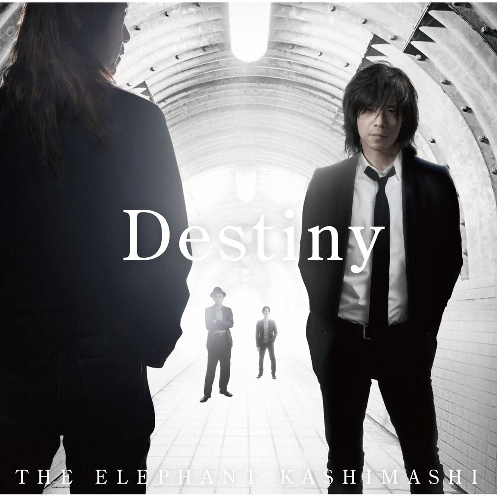 Picture of Destiny