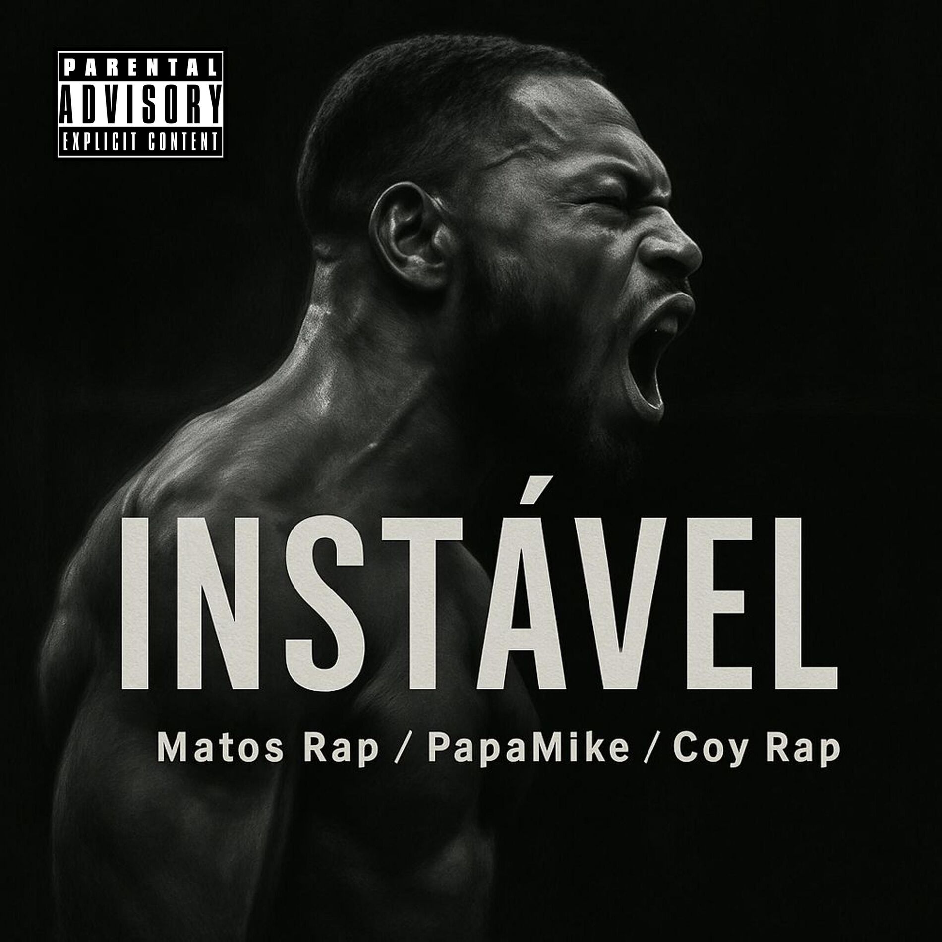 Album cover of Instável