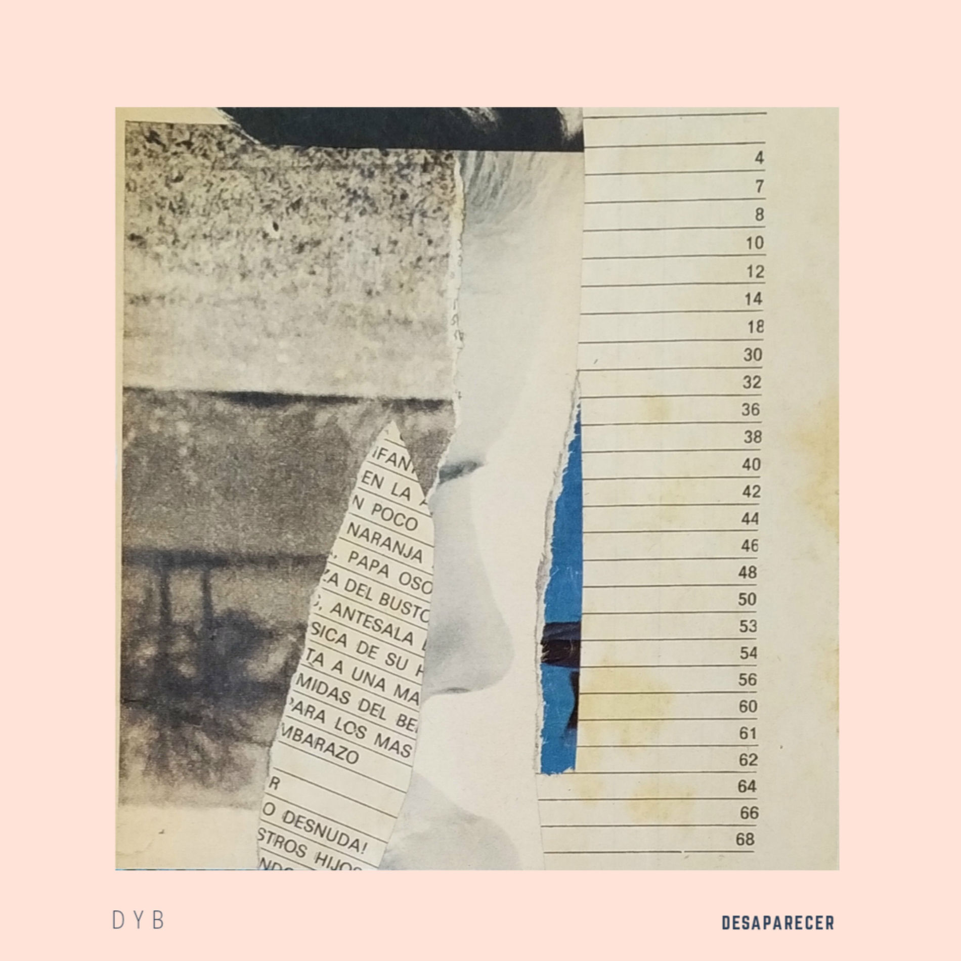 Album cover of Desaparecer