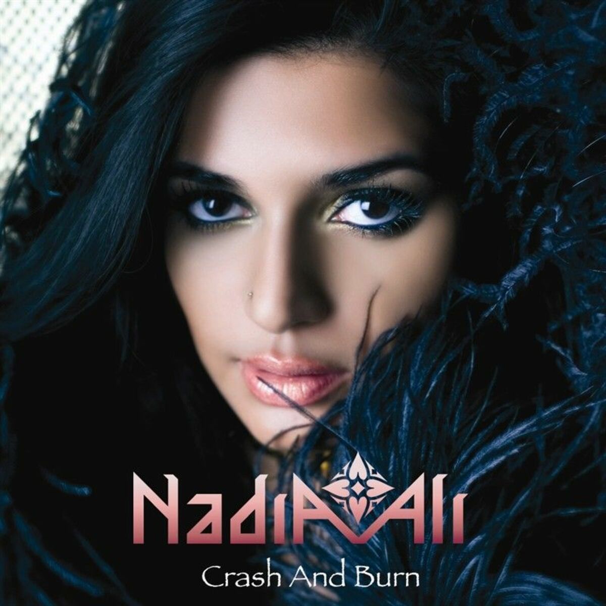 Album cover of Crash And Burn