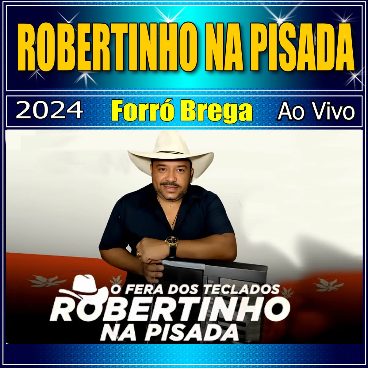 Album cover of FORRÓ BREGA AO VIVO 2024