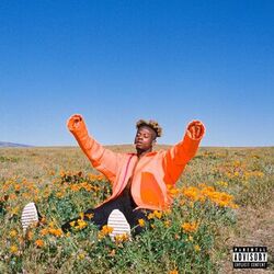 Cover of Pretty Much