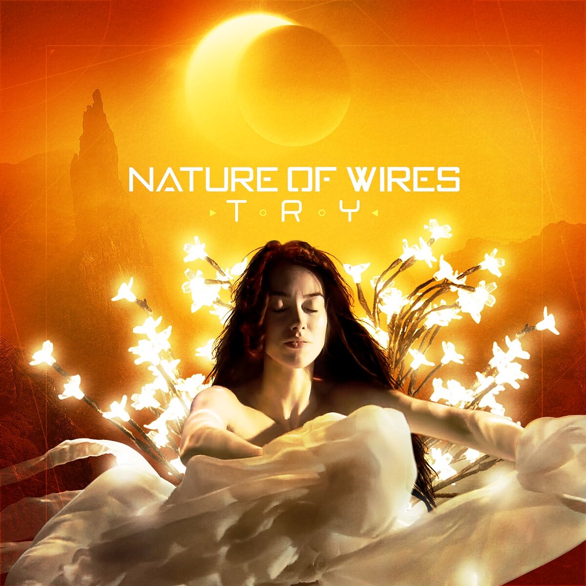 Album cover of Try