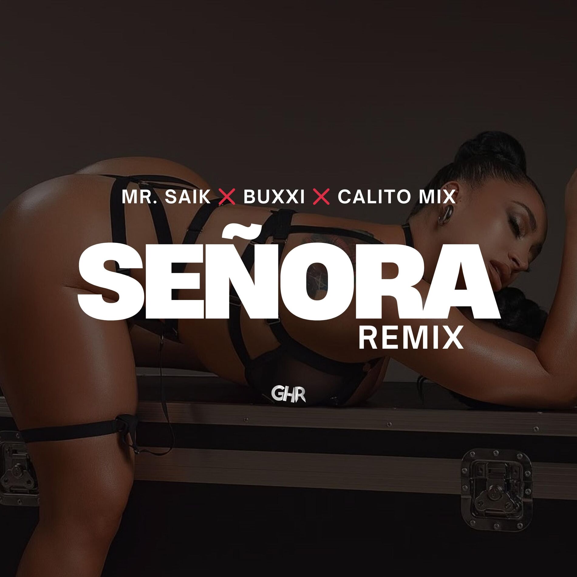 Album cover of SEÑORA REMIX