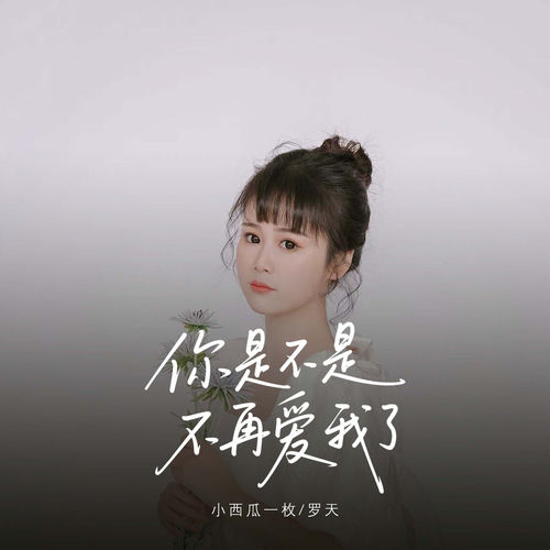 你是不是不再爱我了