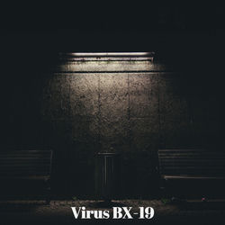Pochette Virus BX-19