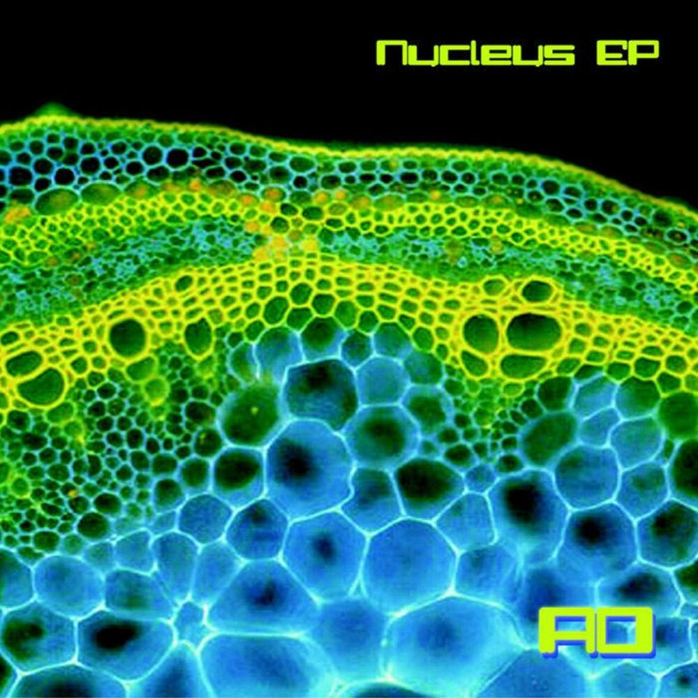 Picture of Nucleus - EP