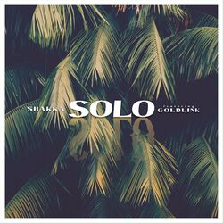 Cover of Solo