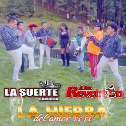 Cover of La Hierba Del Amor Si Si