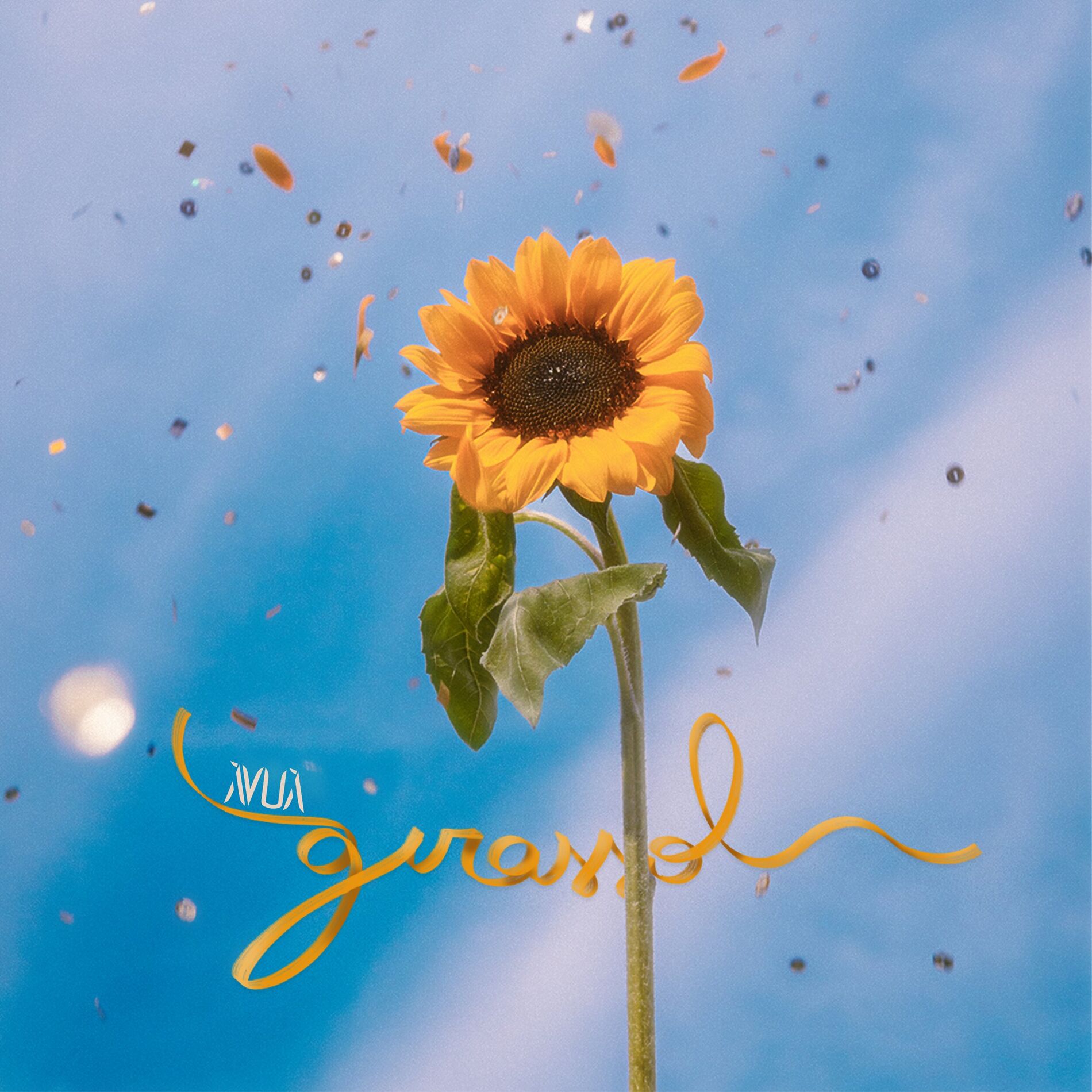 Album cover of Girassol