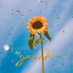 Cover of Girassol