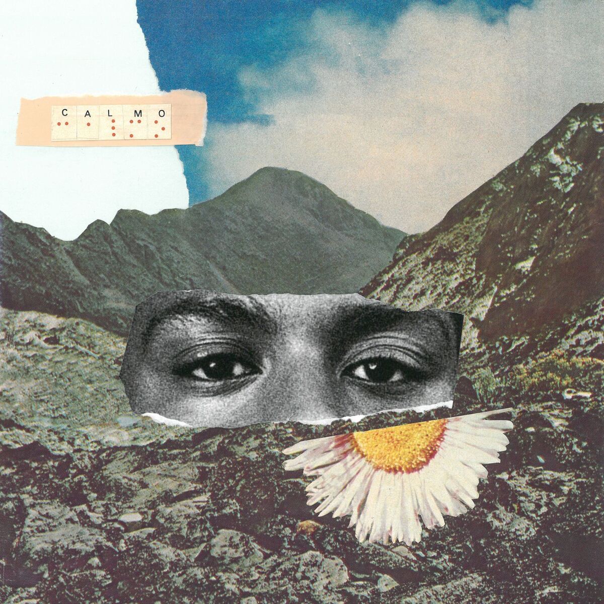 Album cover of Calmô