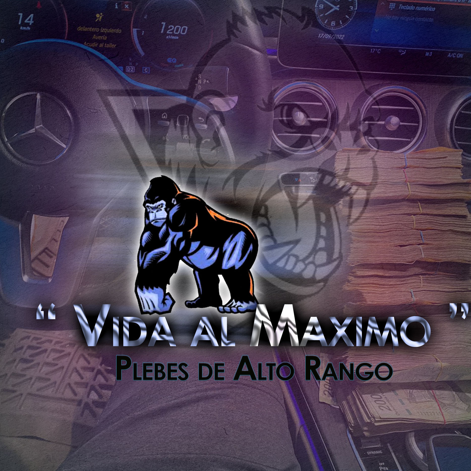 Album cover of Vida al Máximo
