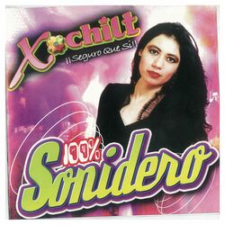 Cover of 100% Sonidero. ¡Seguro que si!