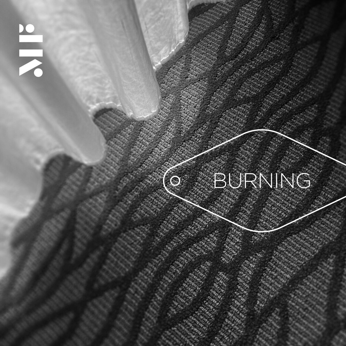Album cover of Burning