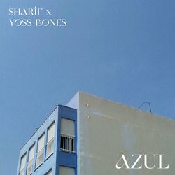 Cover of Azul