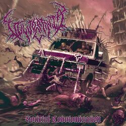 Cover of Vulvocrania: Societal Lobotomisation