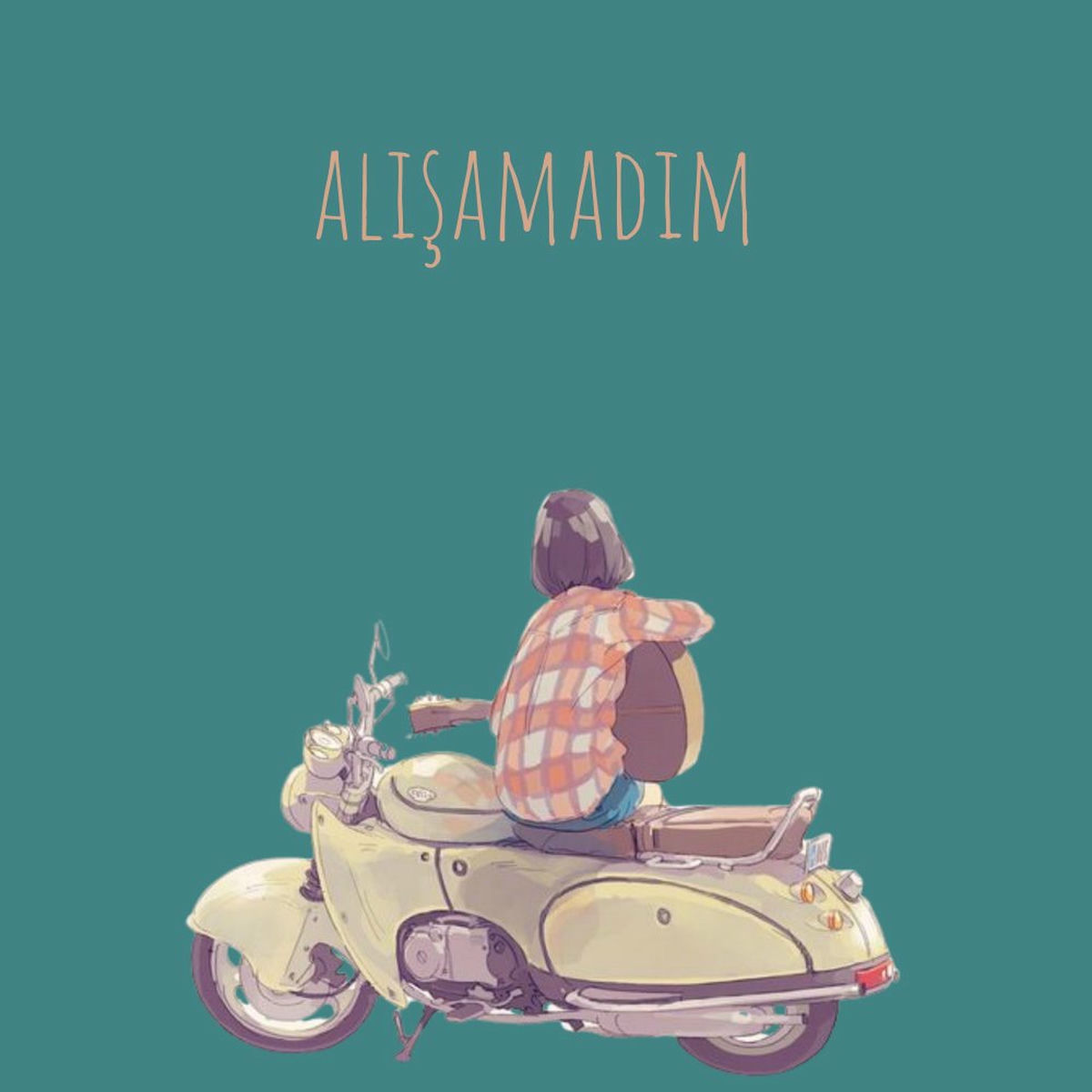 Album cover of Alışamadım