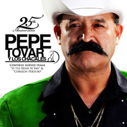 Cover of 25th Aniversario