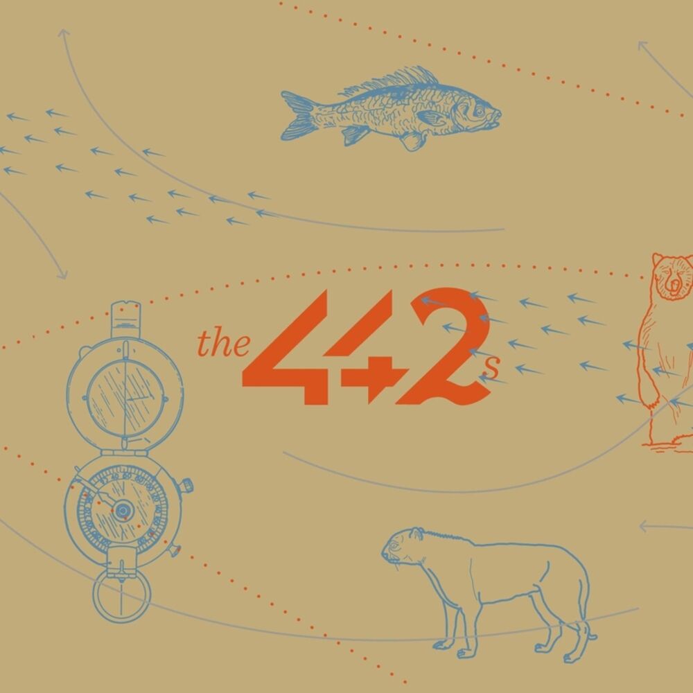 Picture of The 442s